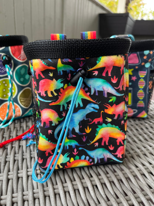 Rainbow Dino Chalk Bag