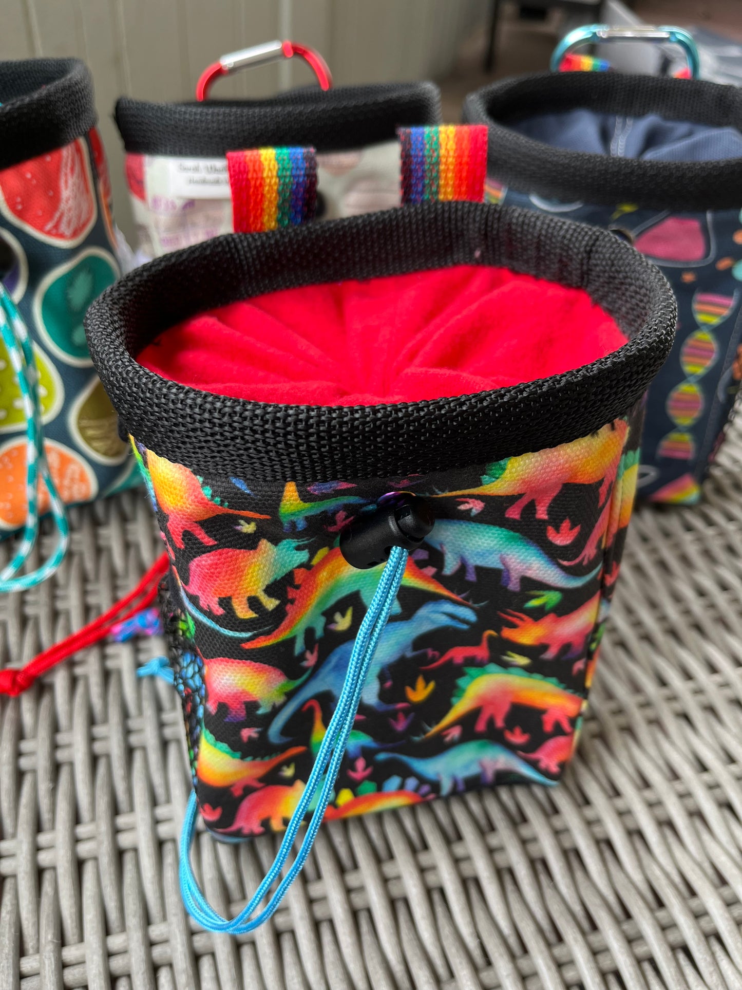 Rainbow Dino Chalk Bag