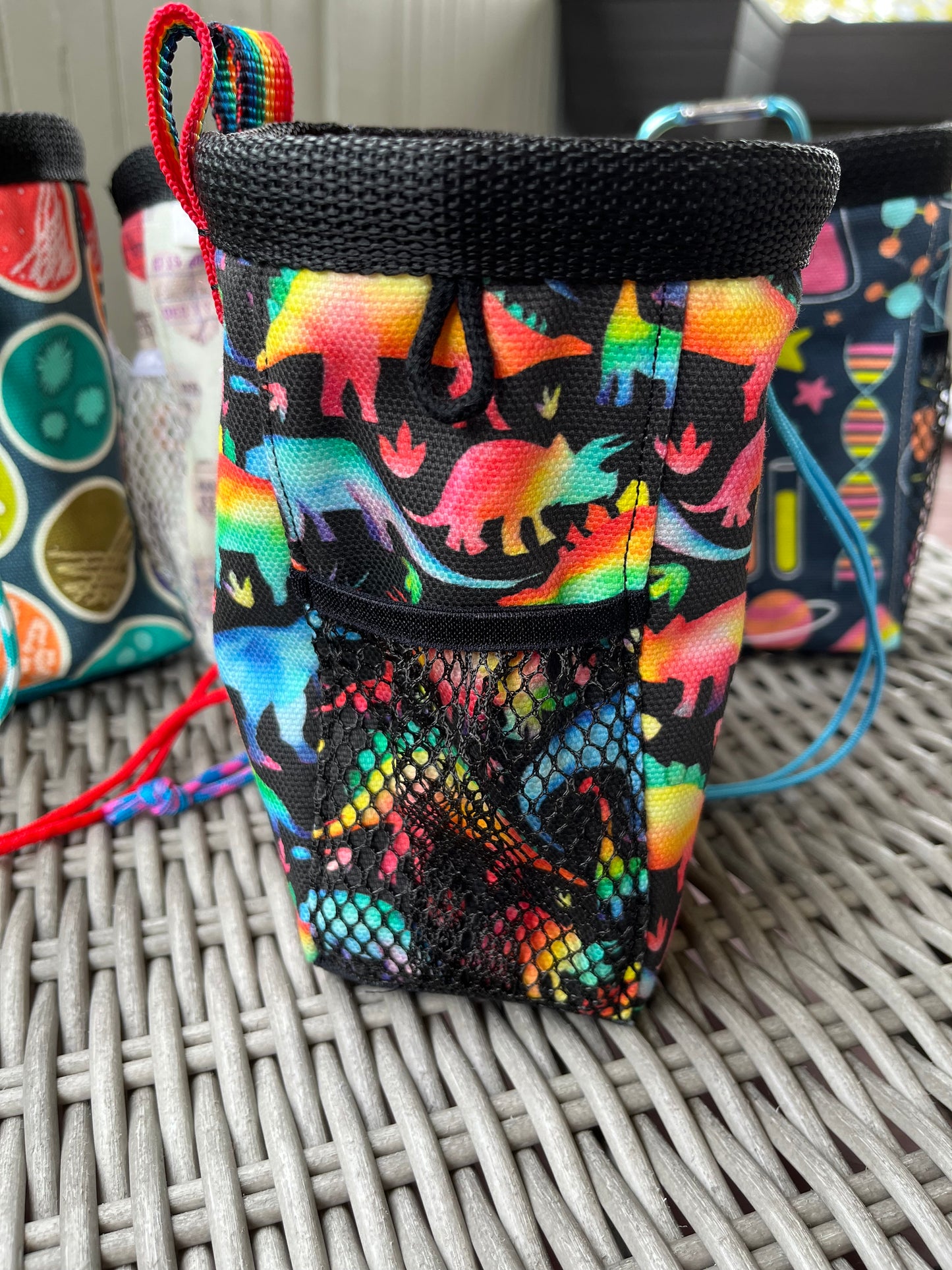 Rainbow Dino Chalk Bag