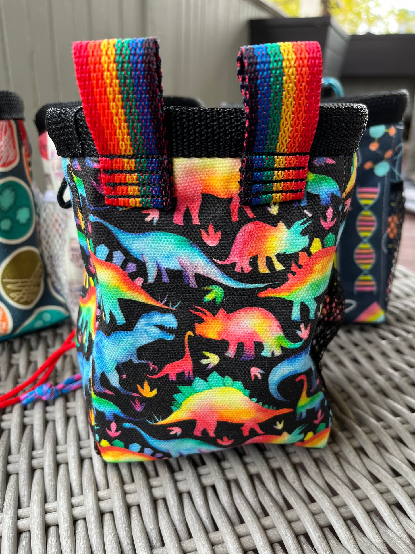 Rainbow Dino Chalk Bag