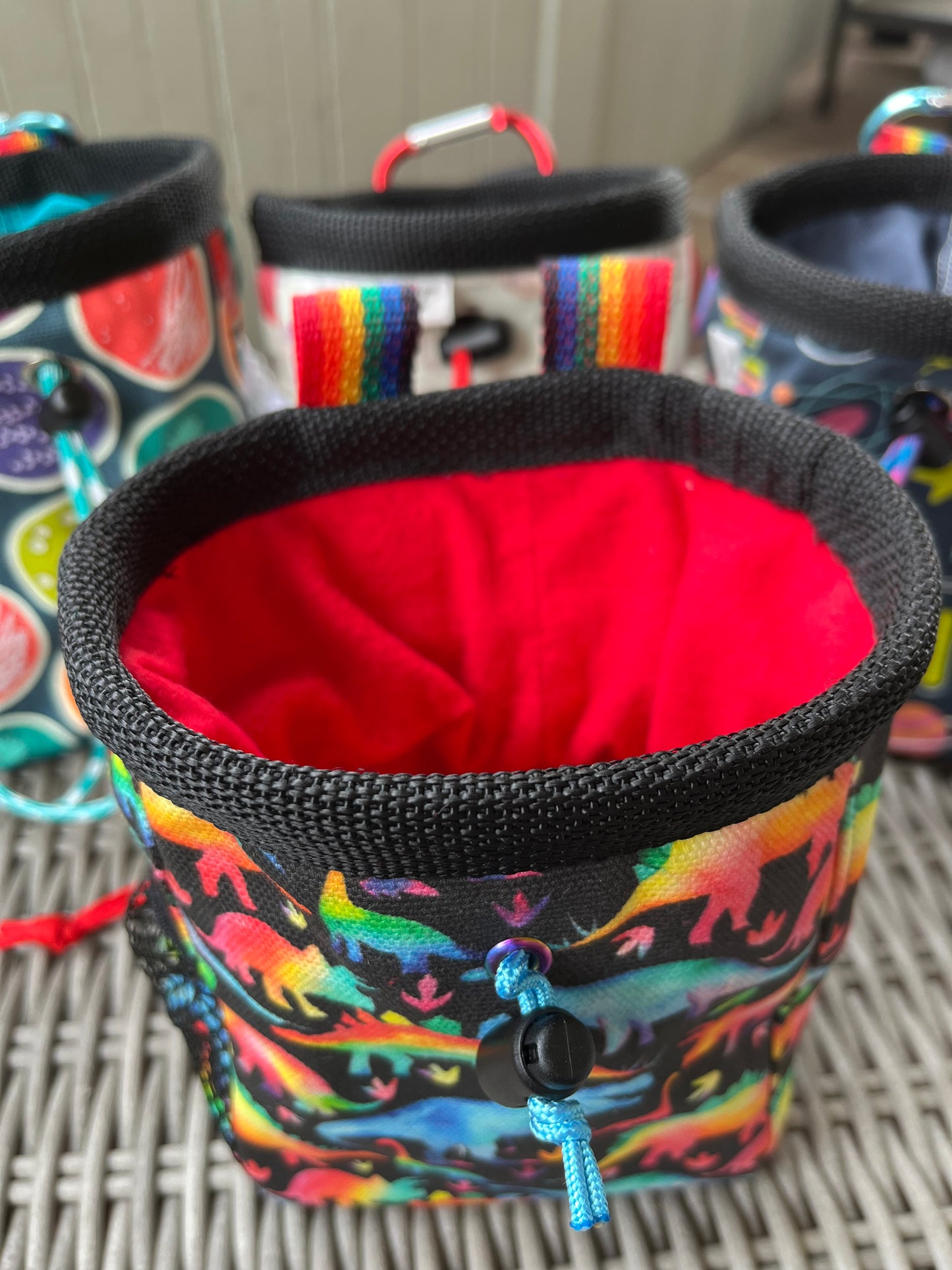 Rainbow Dino Chalk Bag