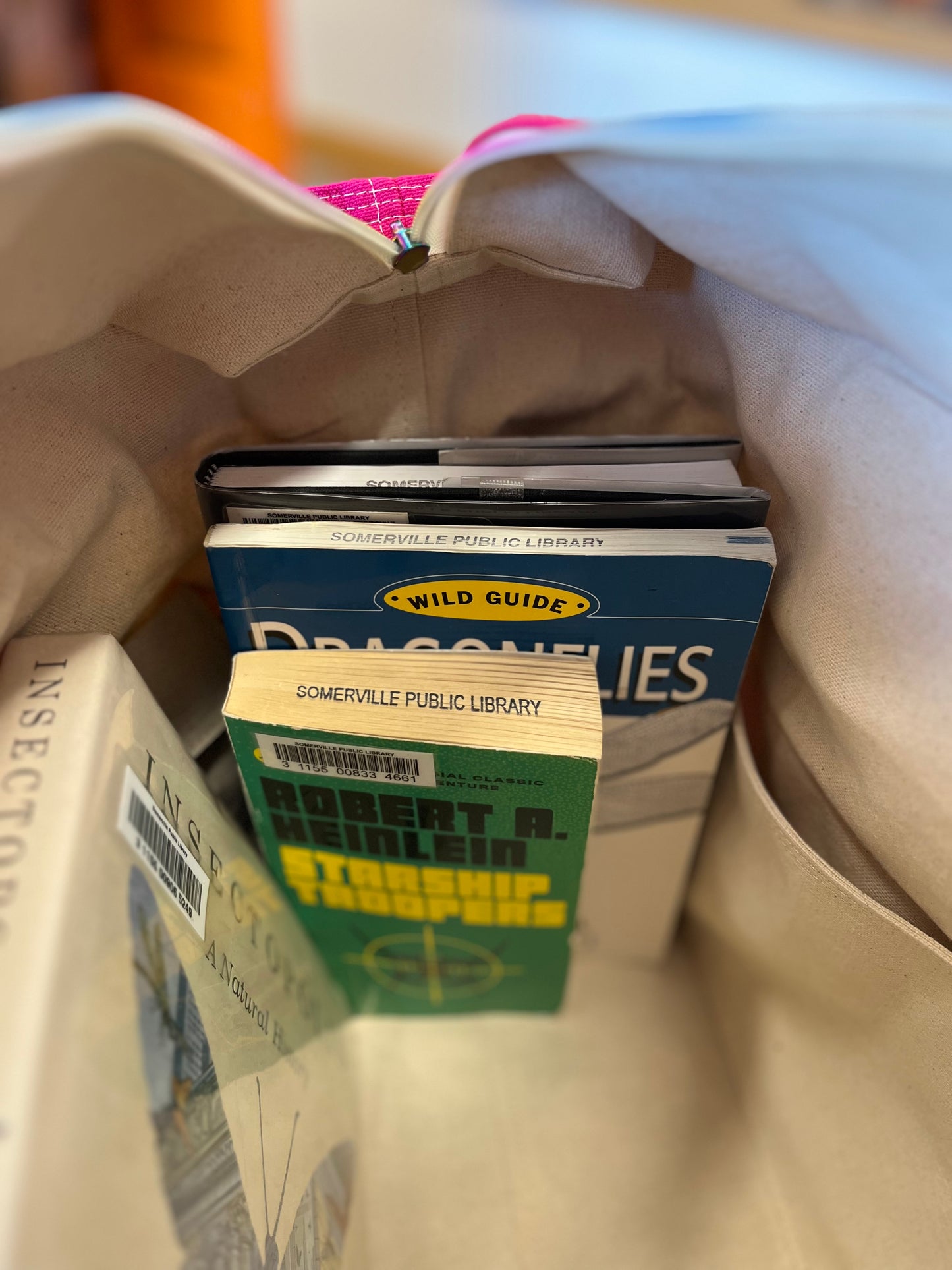 I like big bugs and I cannot lie